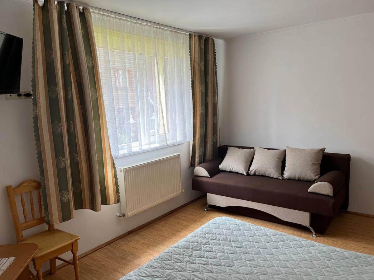 Oskolok Dovbusha Mini-Hotel ヤレムチャ エクステリア 写真