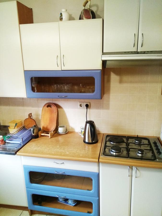 Oskolok Dovbusha Mini-Hotel ヤレムチャ エクステリア 写真