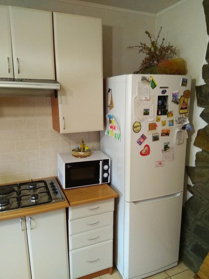Oskolok Dovbusha Mini-Hotel ヤレムチャ エクステリア 写真